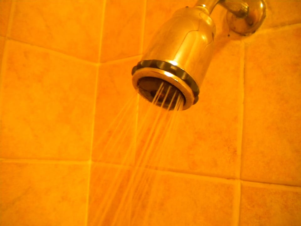 Verstopfte Duschbrause Ghazala Gardens