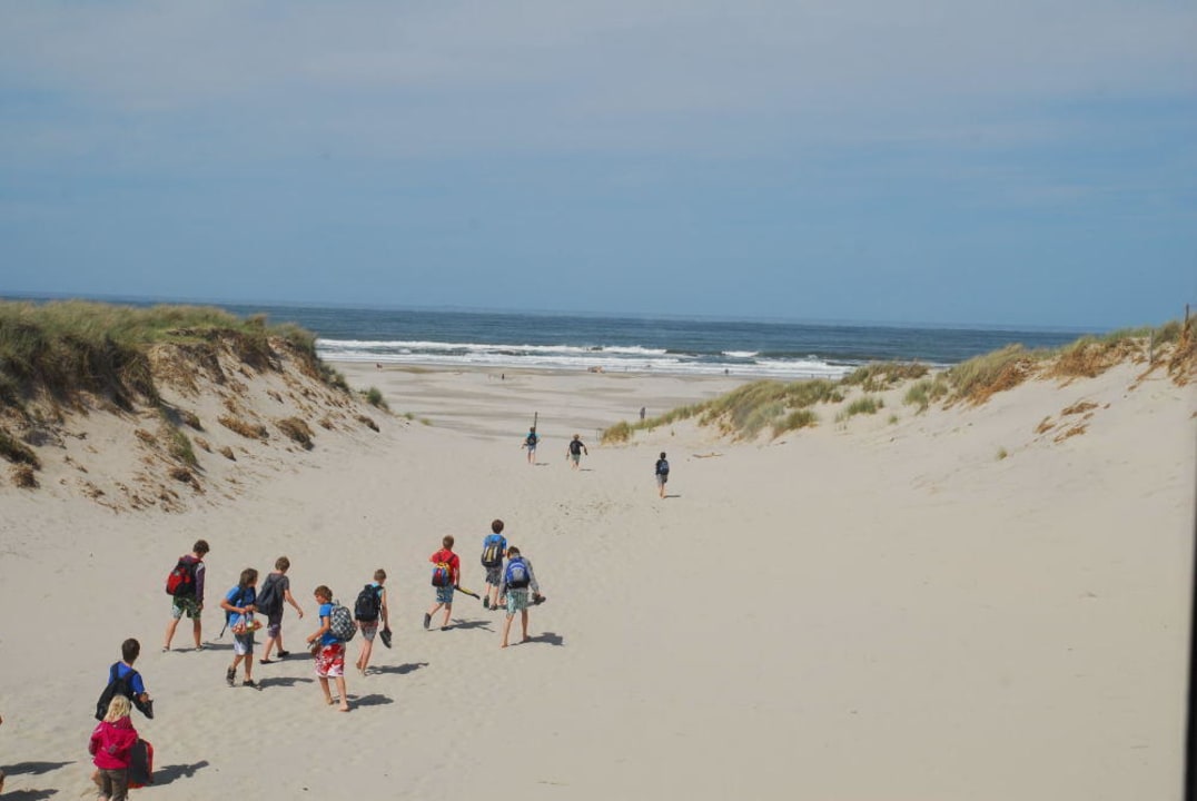 Ausblick vom Zimmer! Strandhotel Terschelling