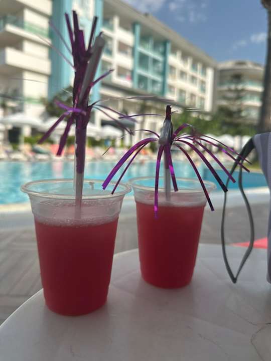 Gastro Seashell Resort