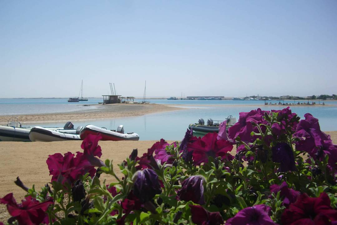 Traumblick  Club Paradisio El Gouna, Red Sea