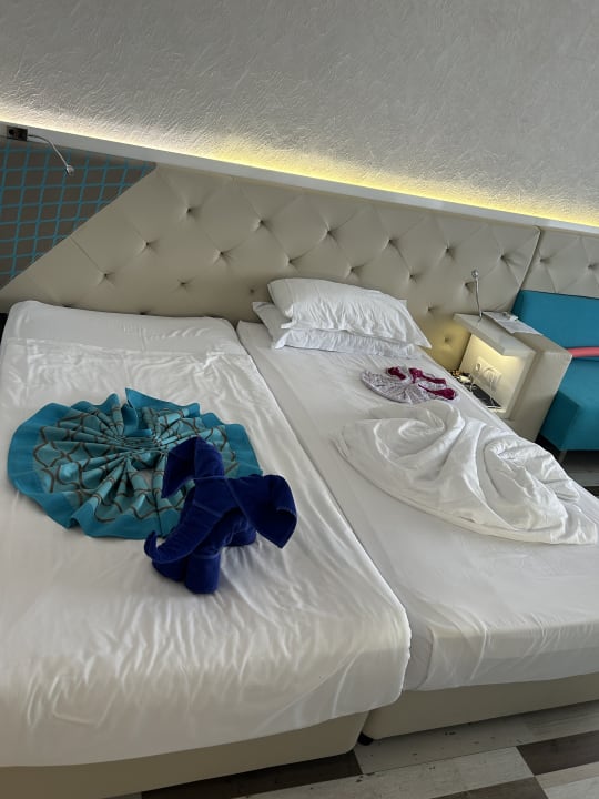 Sonstiges Sentido Marea