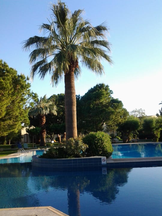 Schönes Motiv Phãea Cretan Malia