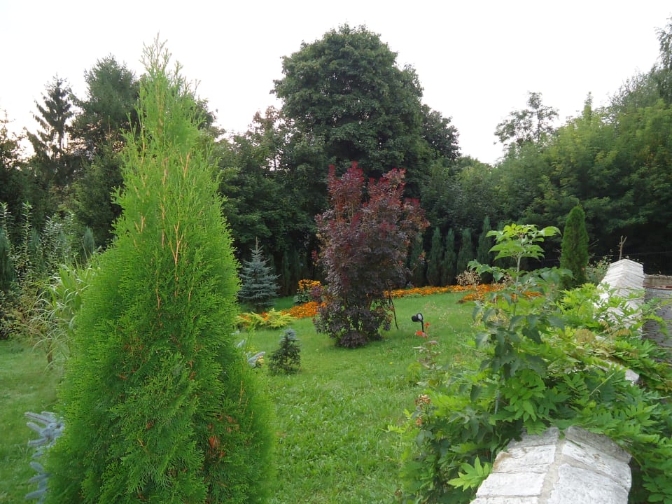 Ogród Dwór Nałęczowski Vitaligs SPA