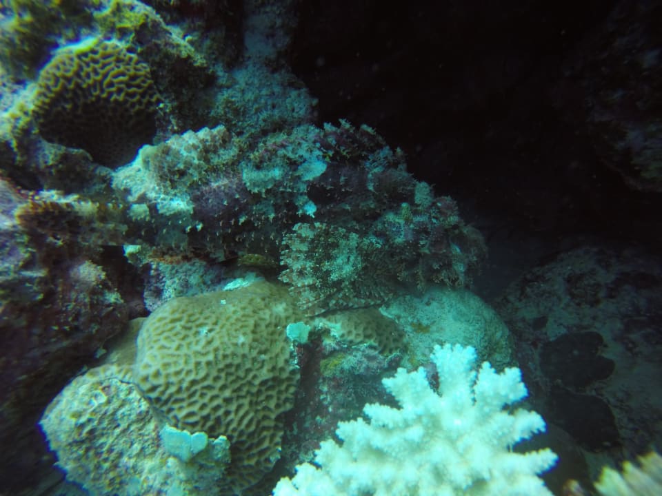 Sport & Freizeit Victoria Beachcomber Resort & Spa