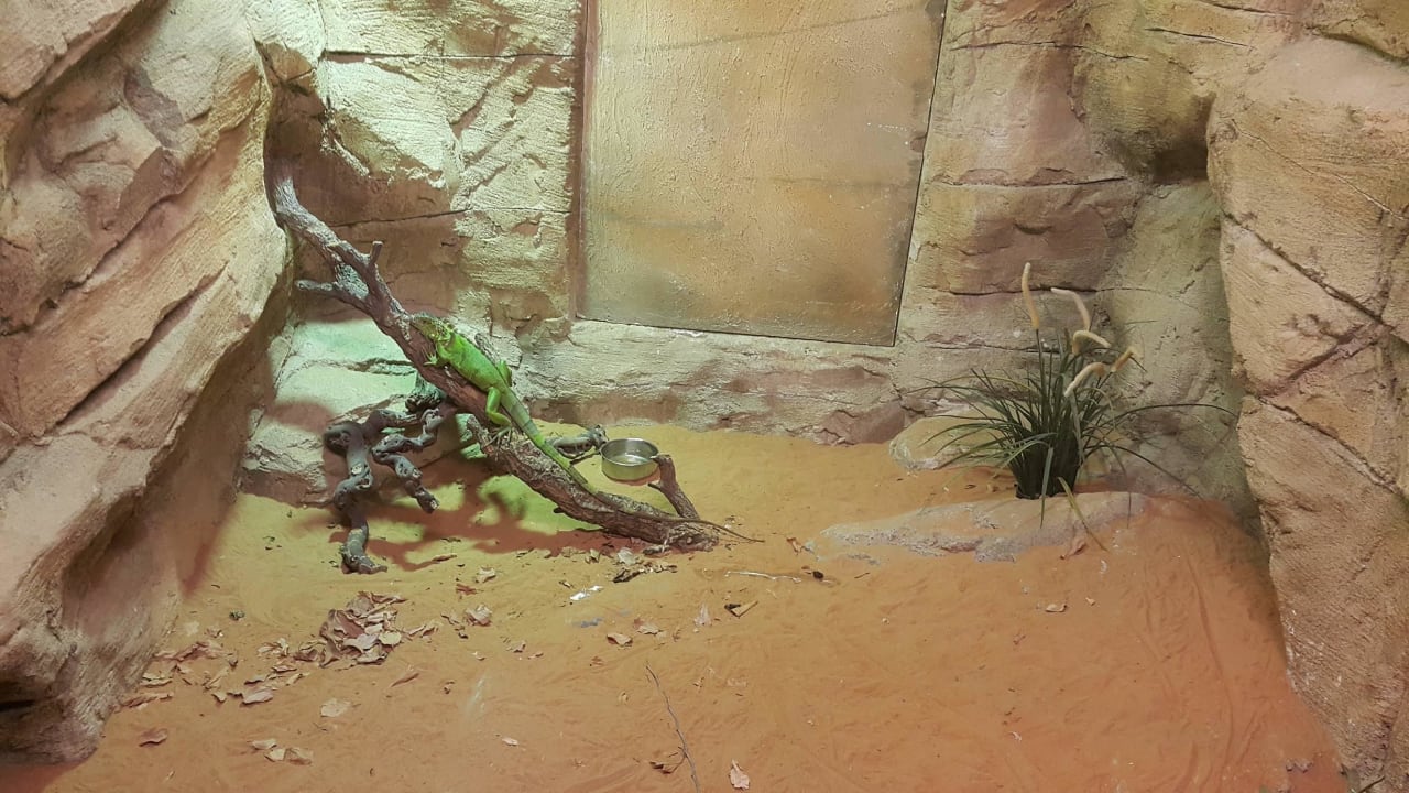 Zoo Hotel Emirates Park Resort