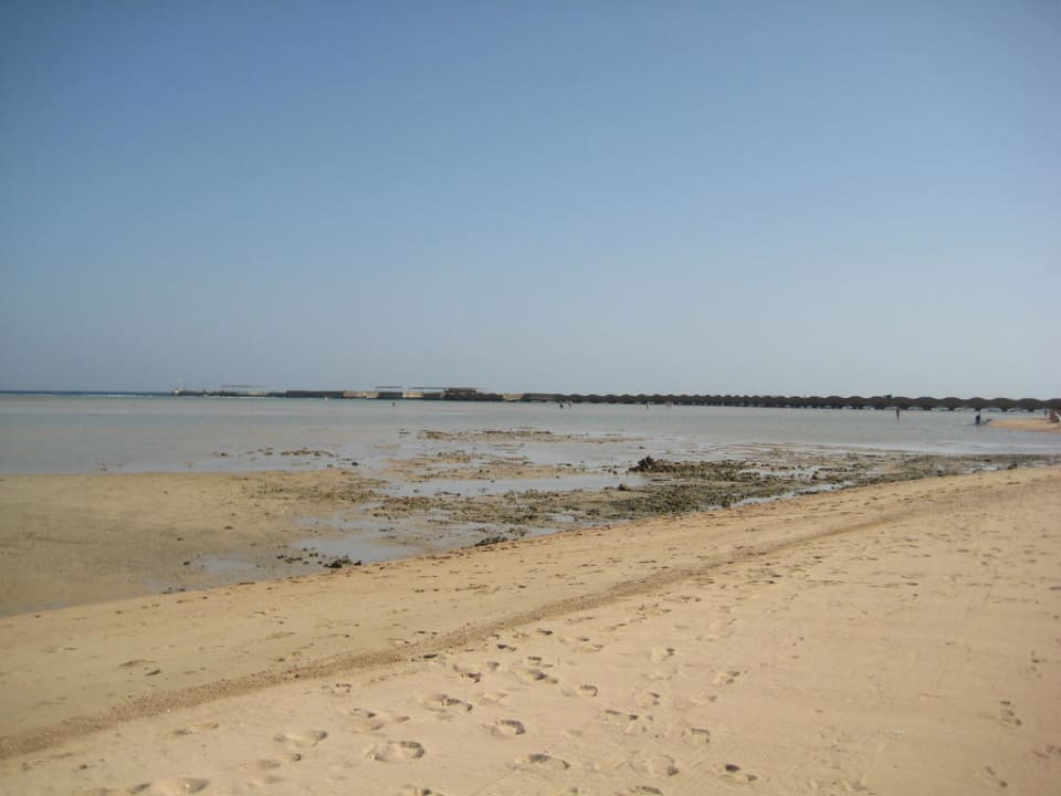 Ebbe Hotel Titanic Palace