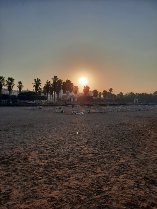 Strand Can Garden Beach