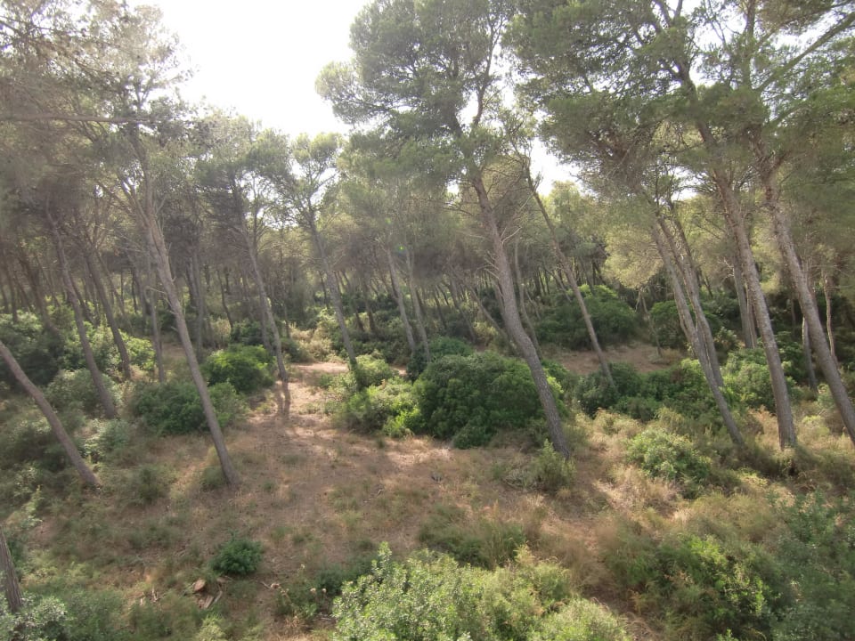 Vom Balkon Es Bauló Petit Hotel