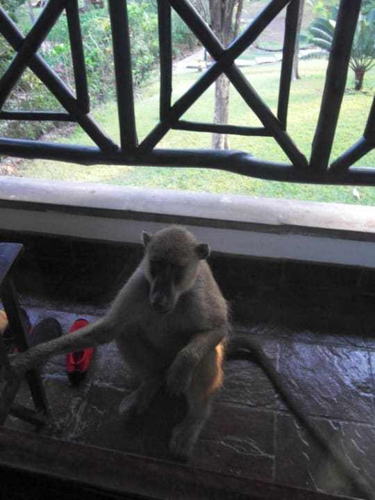 Balkonkontrolle Hotel Papillon Lagoon Reef