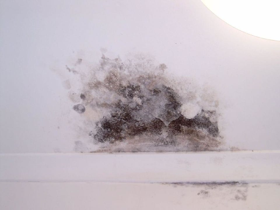 Decke im Badezimmer The Bayswater Sydney