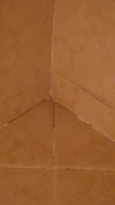 Zimmer Ghazala Gardens