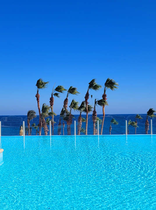 Pool Pickalbatros Citadel Resort