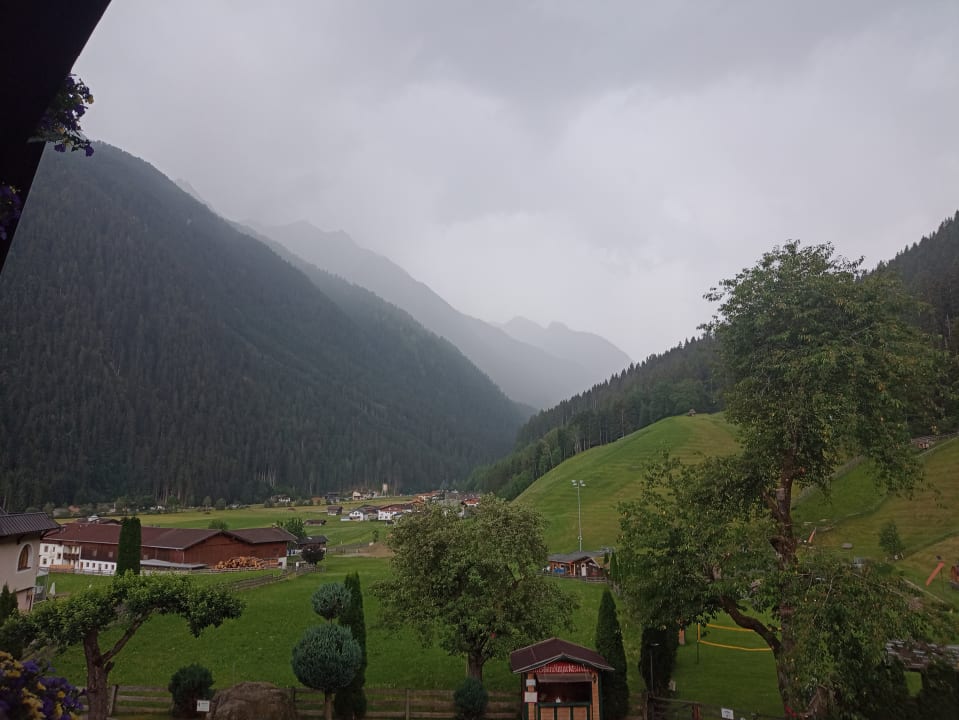 Ausblick Hotel zum Holzknecht am See