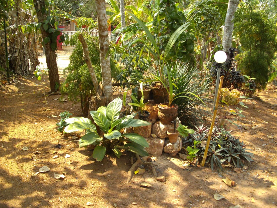 Garten/Eingang ELDC Dreamcatcher House