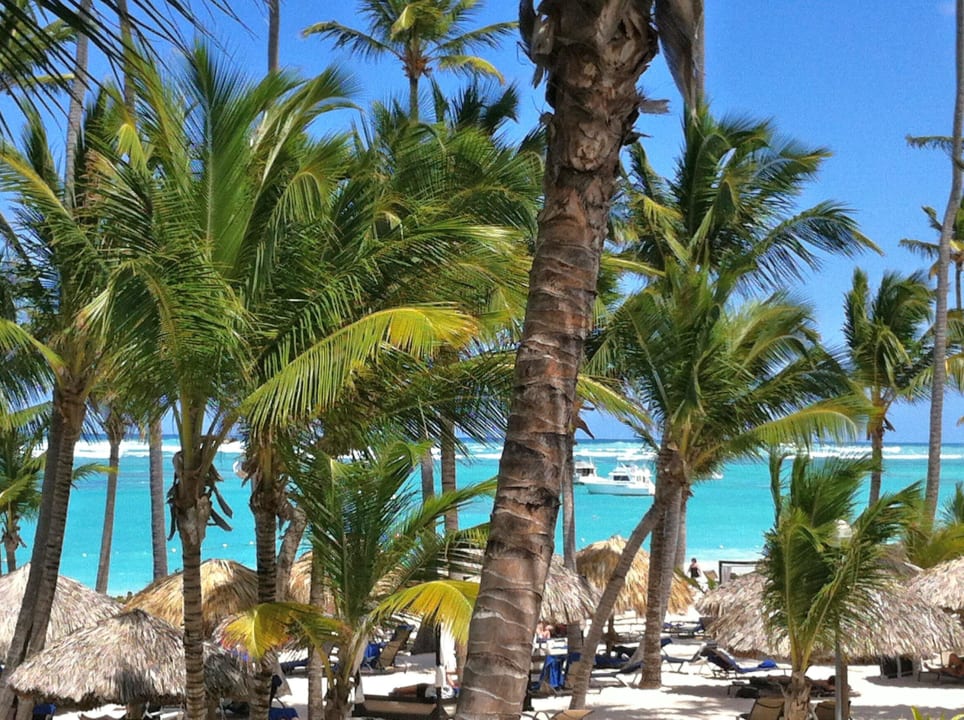 Hotelstrand Palladium Palace Hotel Grand Palladium Palace Resort, Spa & Casino