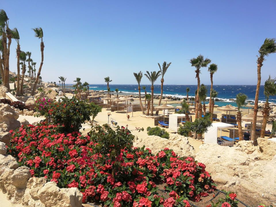 Strand Pickalbatros Citadel Resort