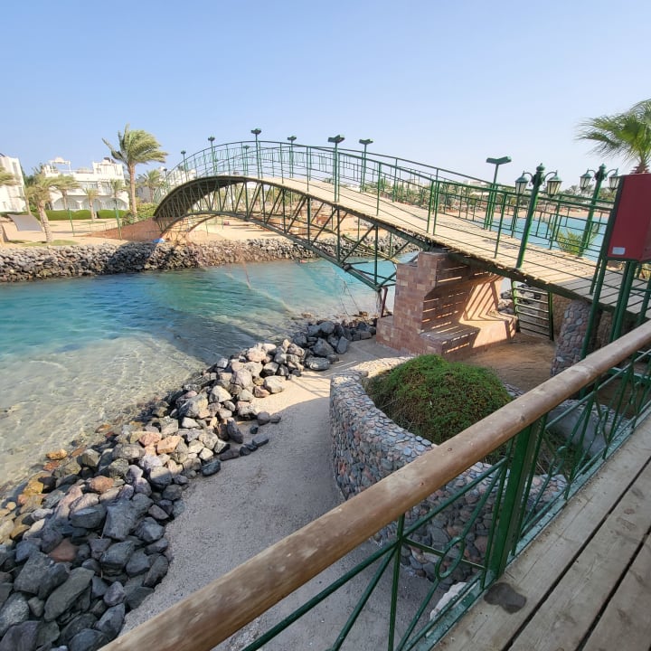 Ausblick Desert Rose