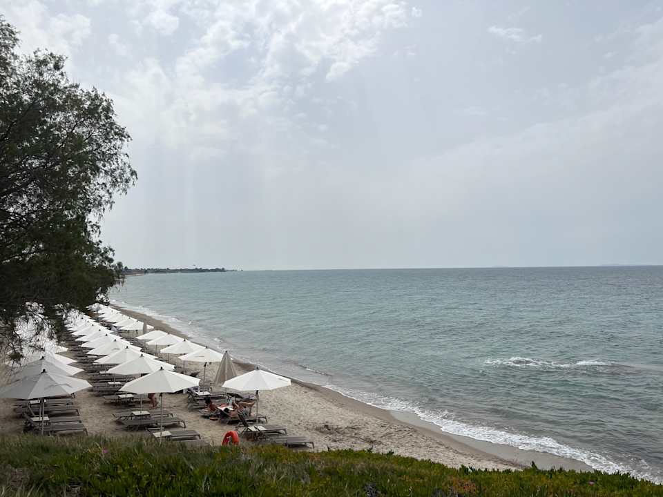 Strand Neptune Luxury Resort