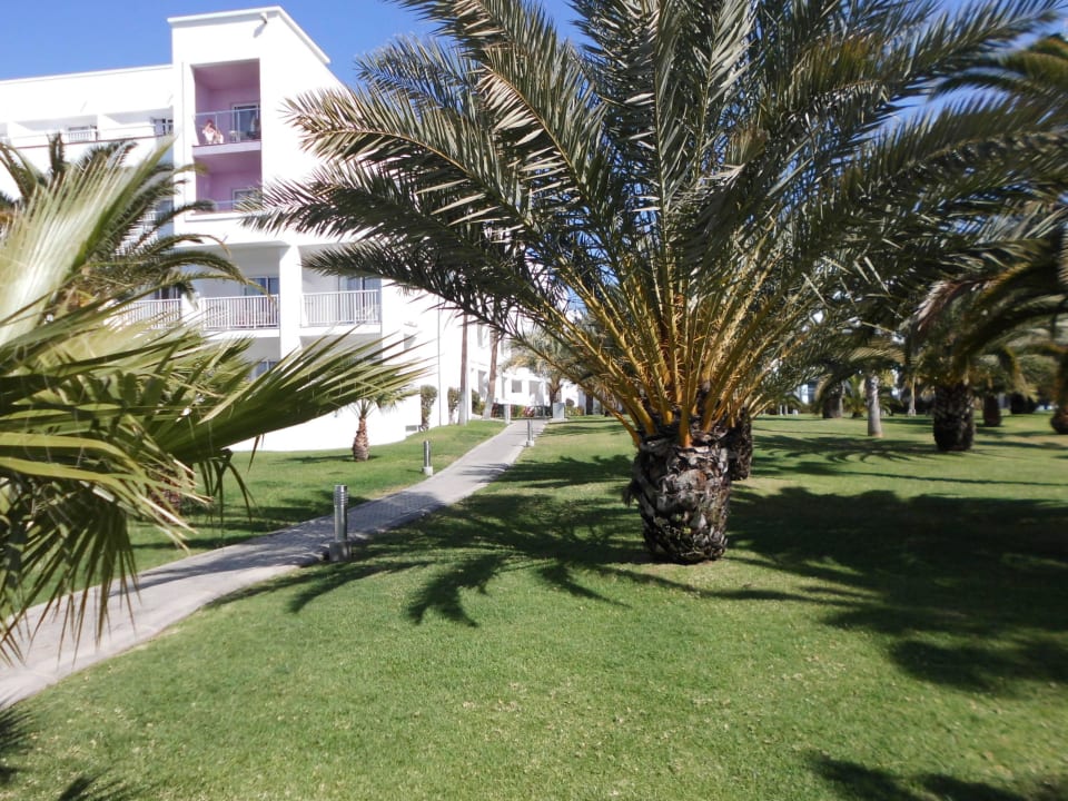 Gartenanlage Hotel Riu Gran Canaria
