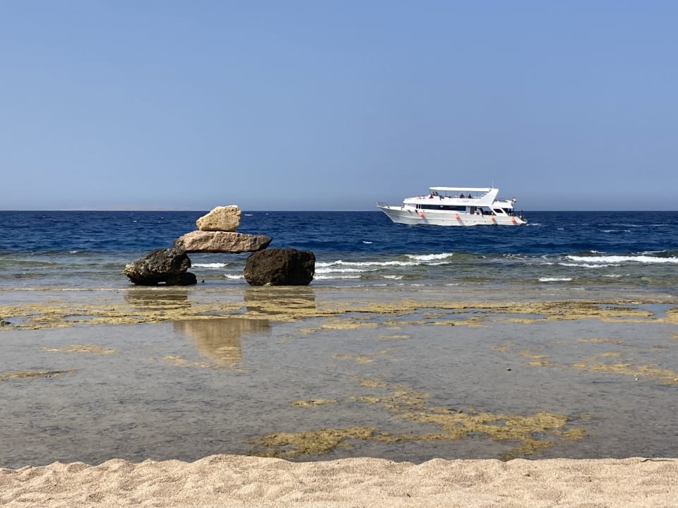 Strand Pickalbatros Citadel Resort