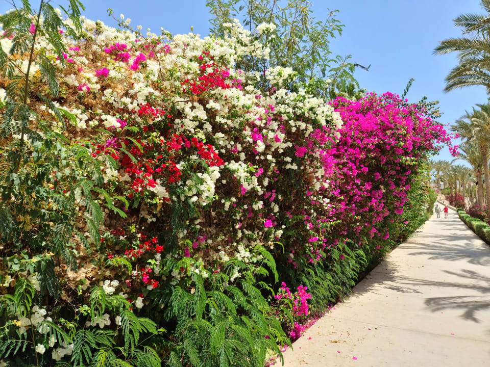 Gartenanlage Brayka Bay Resort