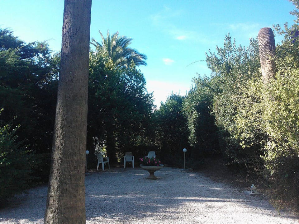 Sitzgelegenheit im Garten Apartment Albert I