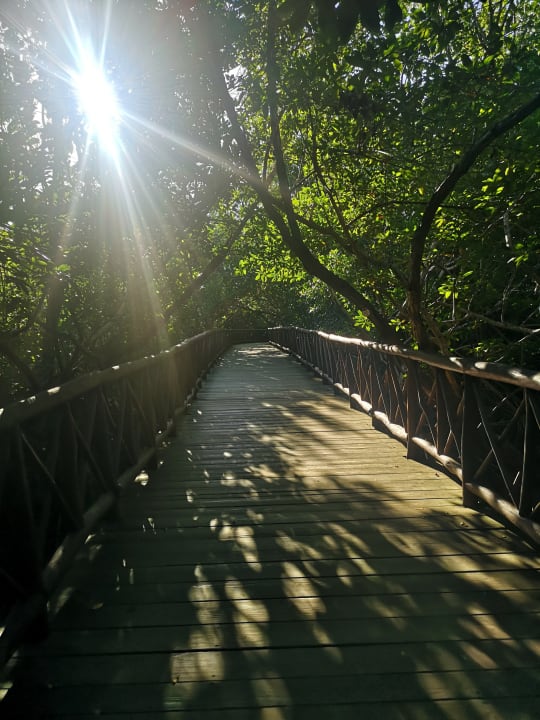 Gartenanlage Catalonia Royal Tulum Beach & Spa Resort - Adults only