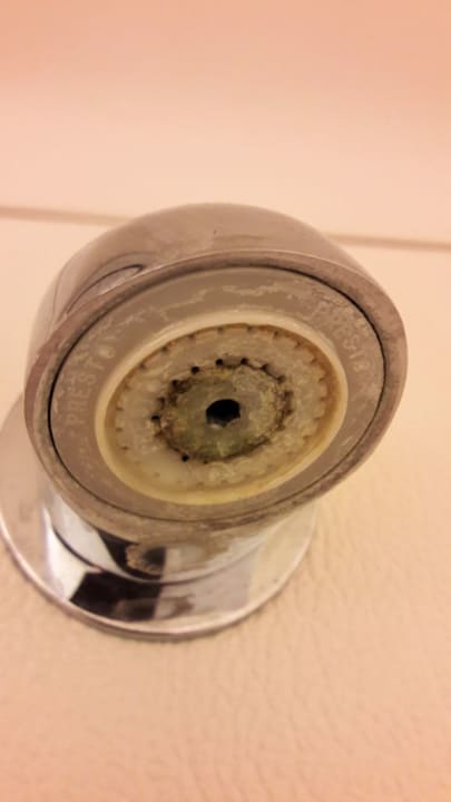 Der Duschkopf ibis budget Hotel Chemnitz Sued West