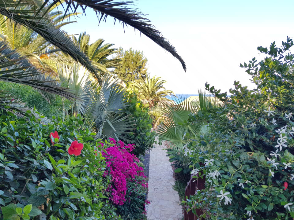 Gartenanlage Marina Playa Suite Hotel