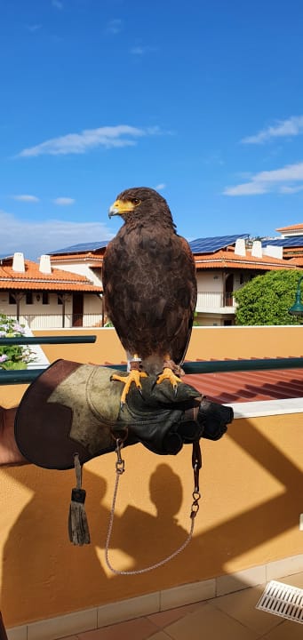 Außenansicht Sentido Galosol