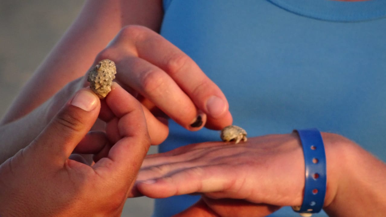 Mam cię maluszku :) Bliss Nada Beach Resort