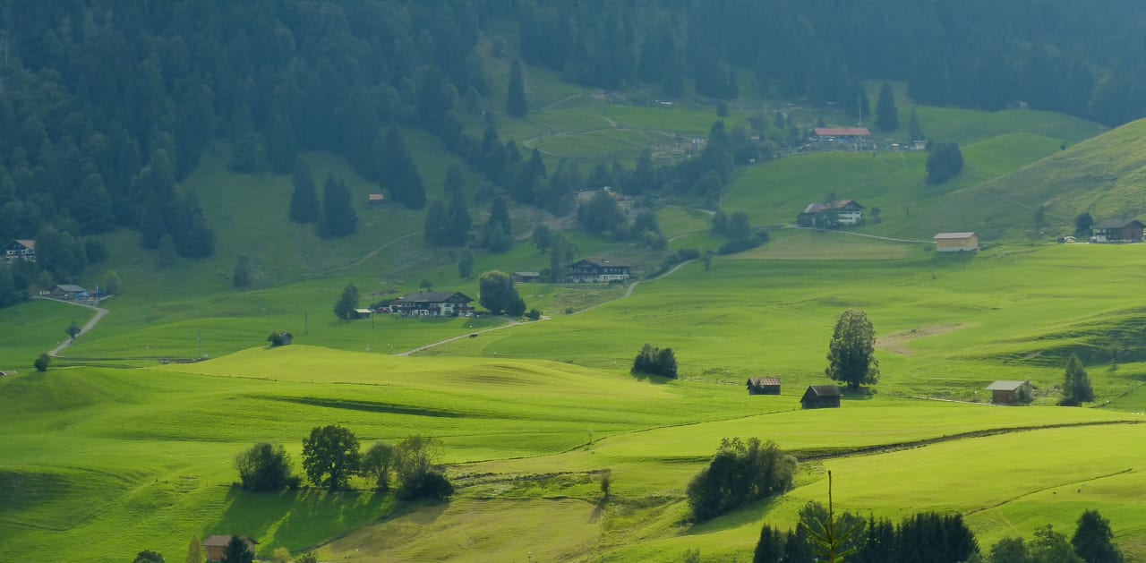 Ausblick Ferienwohnung Landhaus Ücker