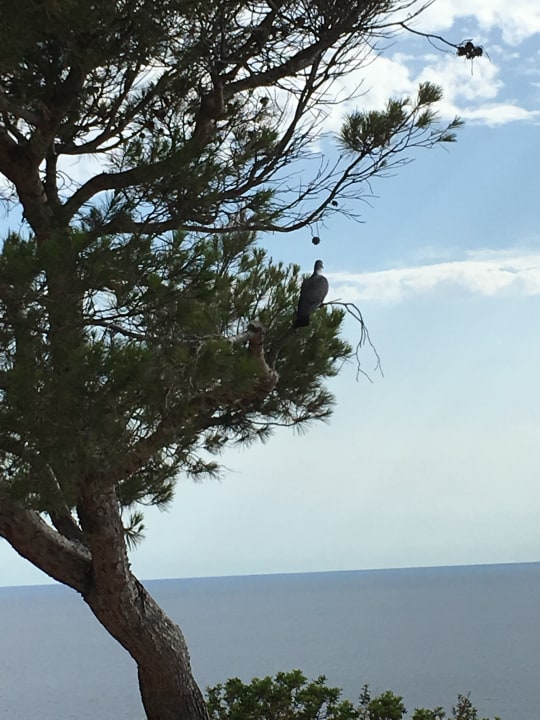 Ausblick Sun Club Eldorado