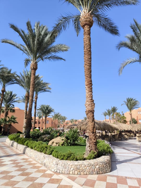 Pool Jaz Makadi Oasis Resort