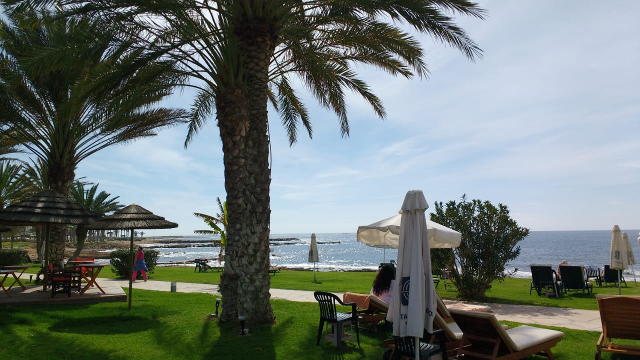 Gartenanlage Constantinou Bros Athena Royal Beach Hotel