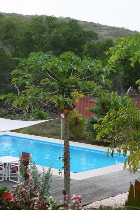 Blick aus dem Apartment Don Genaro Apartments