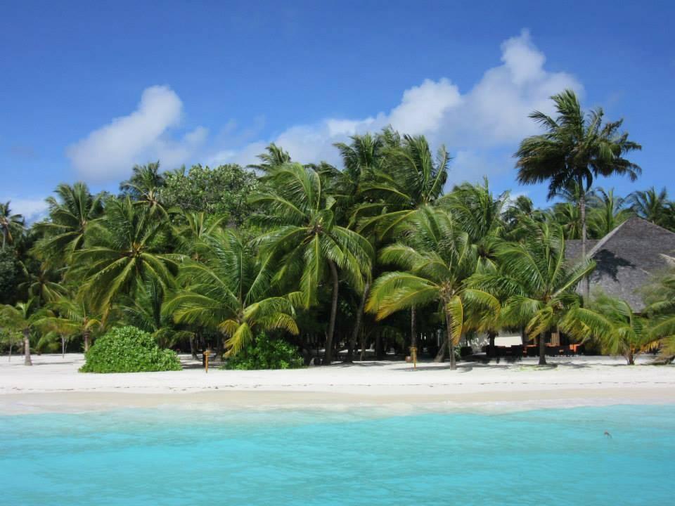 Vom Steg aus  Meeru Maldives Resort Island