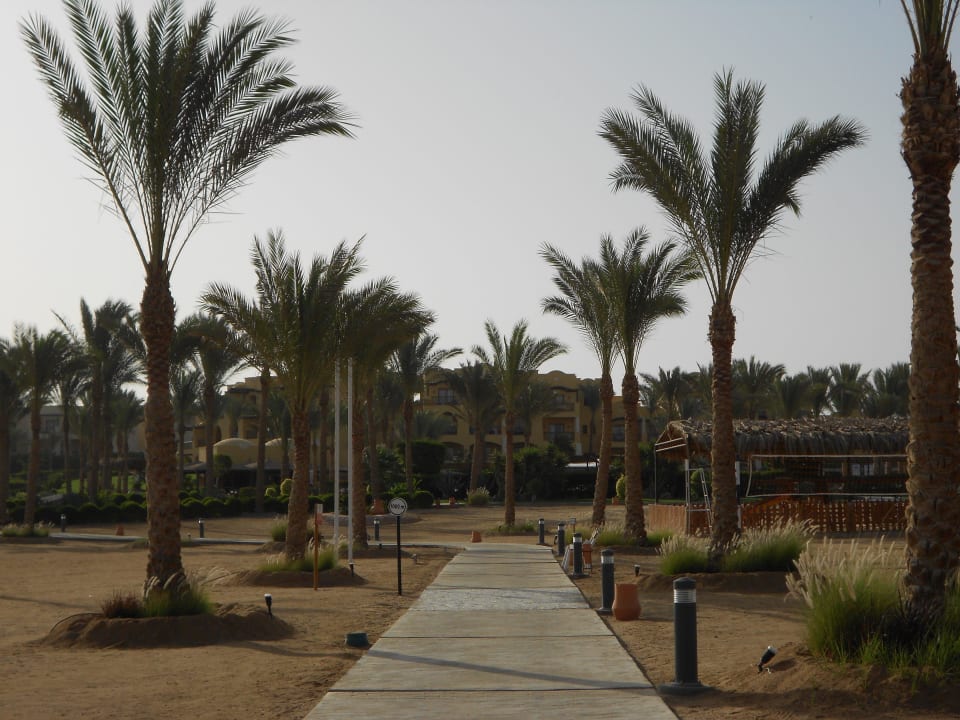 Promenade Jaz Solaya