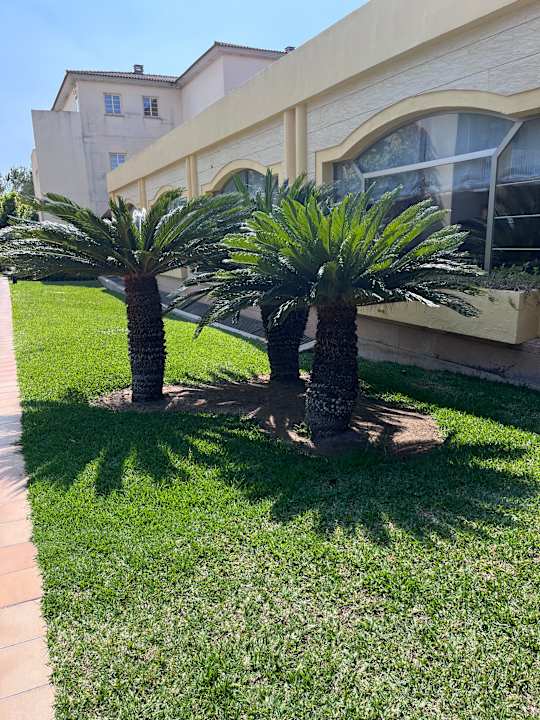 Gartenanlage Hotel Zafiro Alzinar Mar