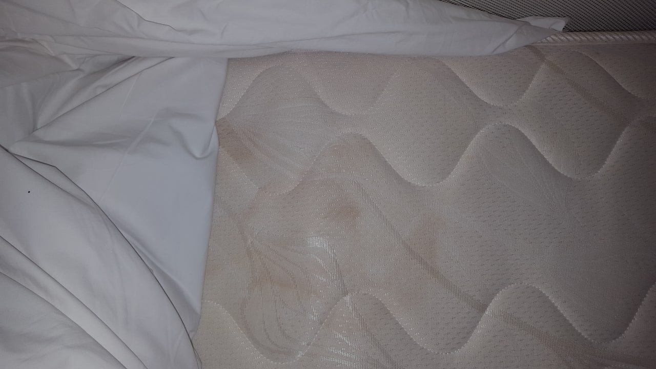 Zimmer Seaden Sea World Resort & Spa