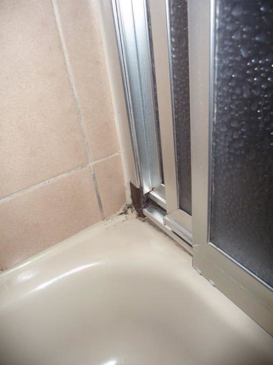 Schimmel in der Dusche Silberkönig Schwarzwald Hotel & Restaurant Ringhotel