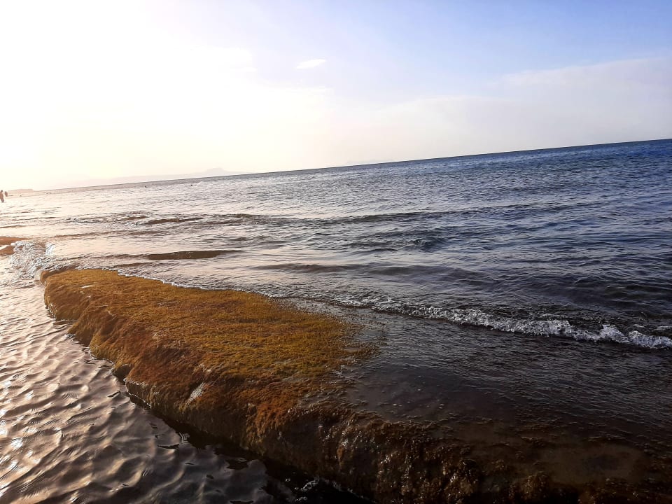 Strand Rethymno Palace