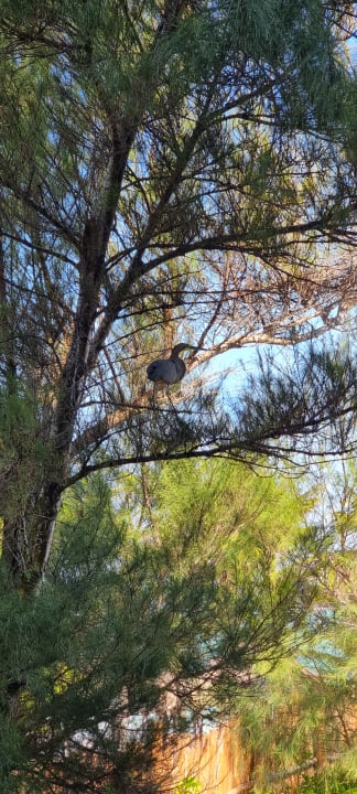 Gartenanlage Akumal Bay Beach & Wellness Resort