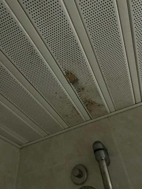 Zimmer Club Hotel Mirabell