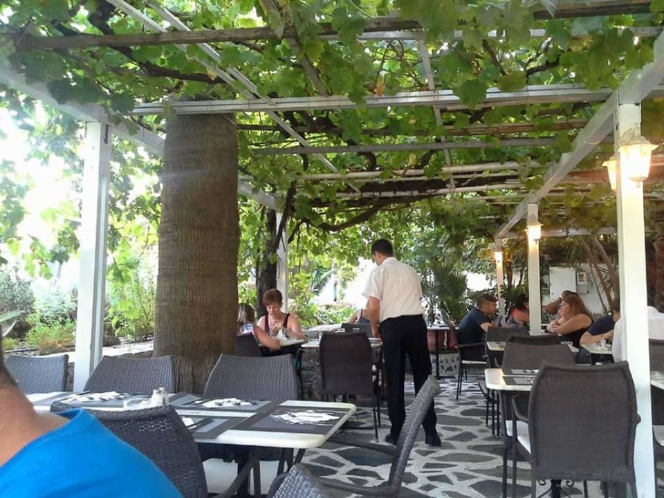 Restaurant HARPIN Happy Days Beach Hotel