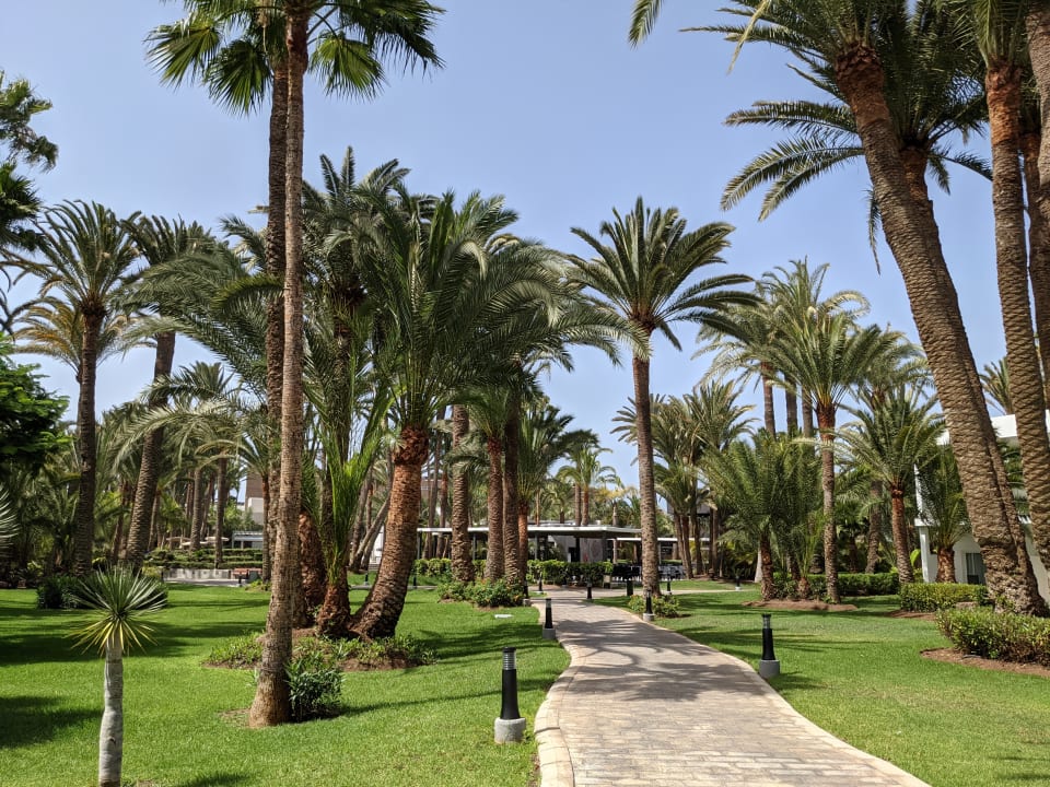 Gartenanlage Hotel Riu Palace Oasis