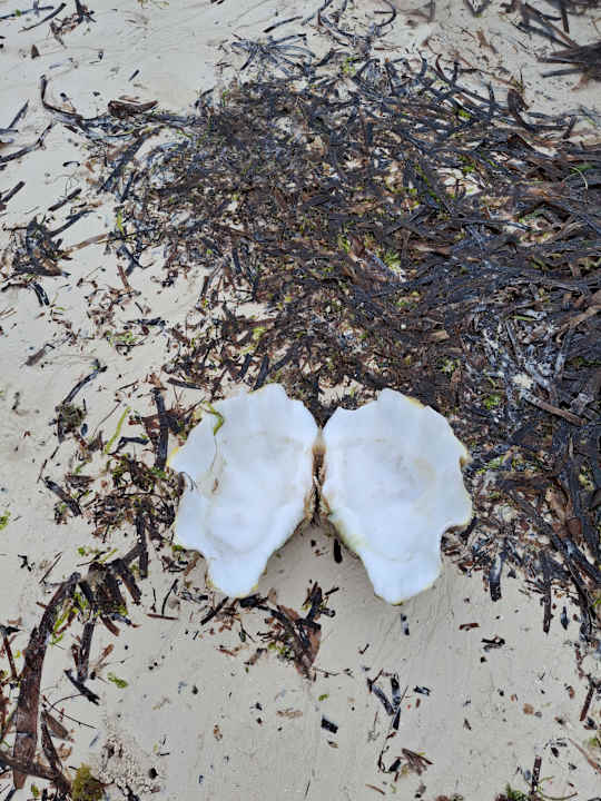 Strand VOI Kiwengwa Resort