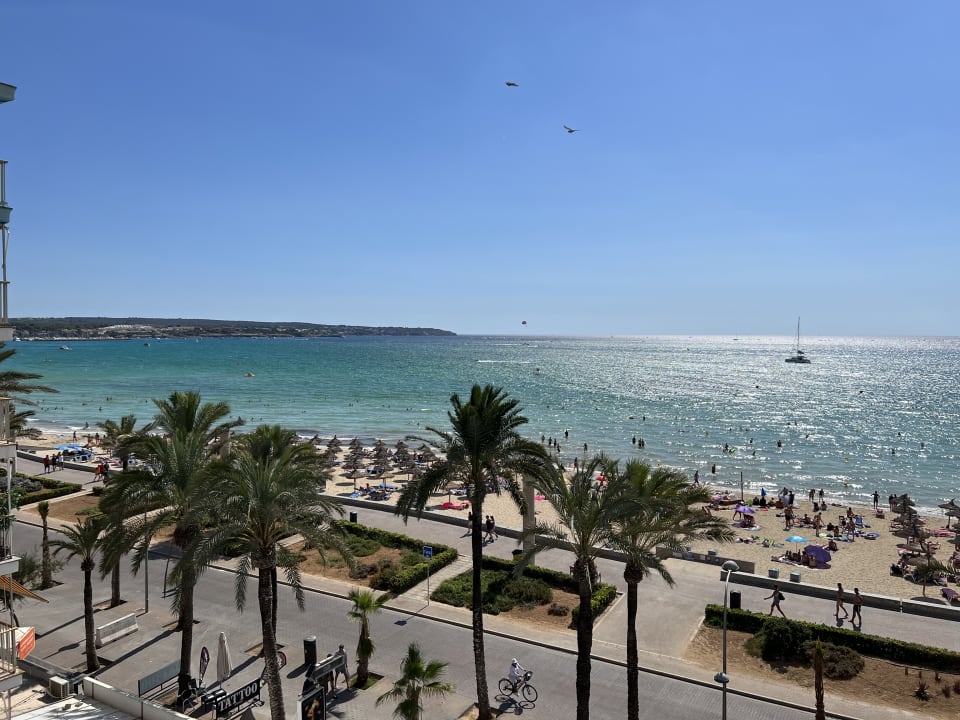 Ausblick Myseahouse Flamingo - Adults only