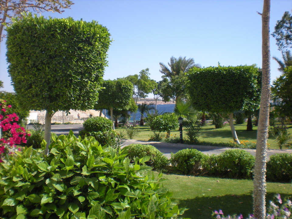 Вид из номера Sultan Gardens Resort