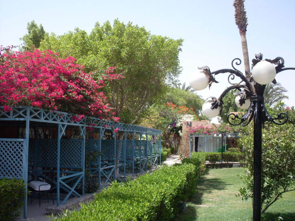 Die Bungalows Giftun Azur Resort